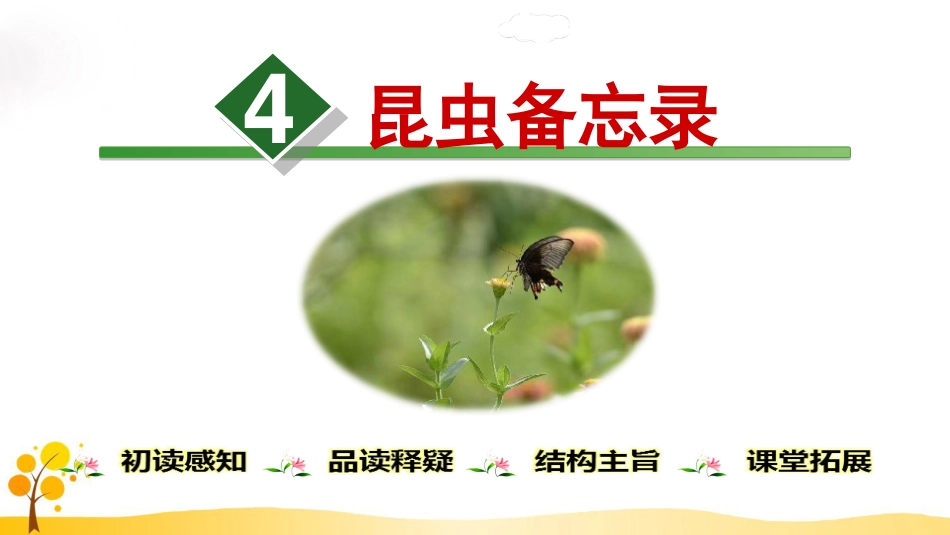 昆虫备忘录ppt课件[40页]_第1页