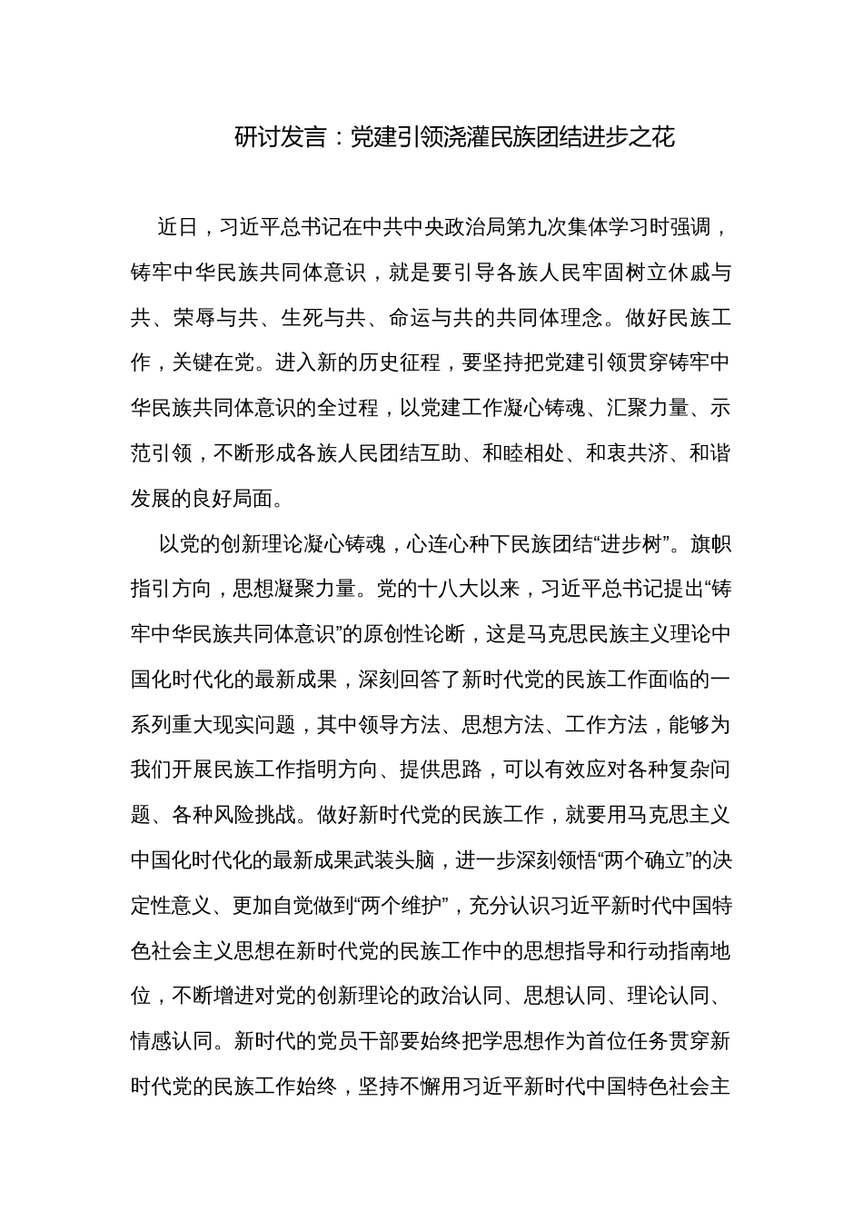 研讨发言：党建引领浇灌民族团结进步之花_第1页