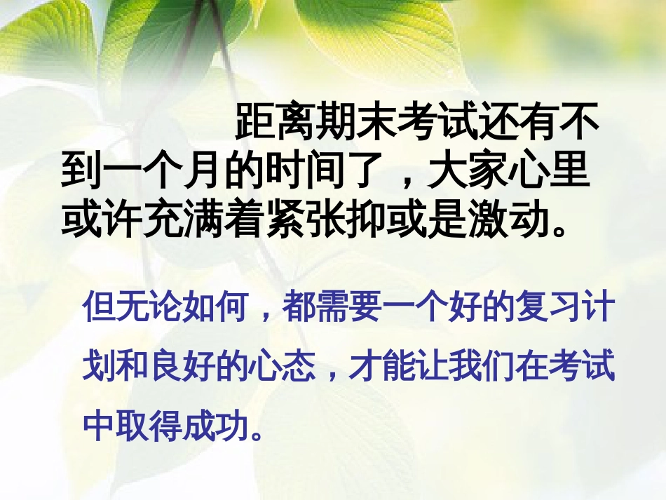 期末考试复习计划[19页]_第2页