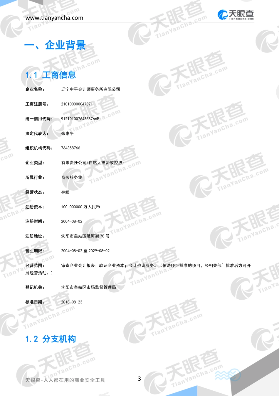 辽宁中平会计师事务所有限公司企业信用报告天眼查_第3页