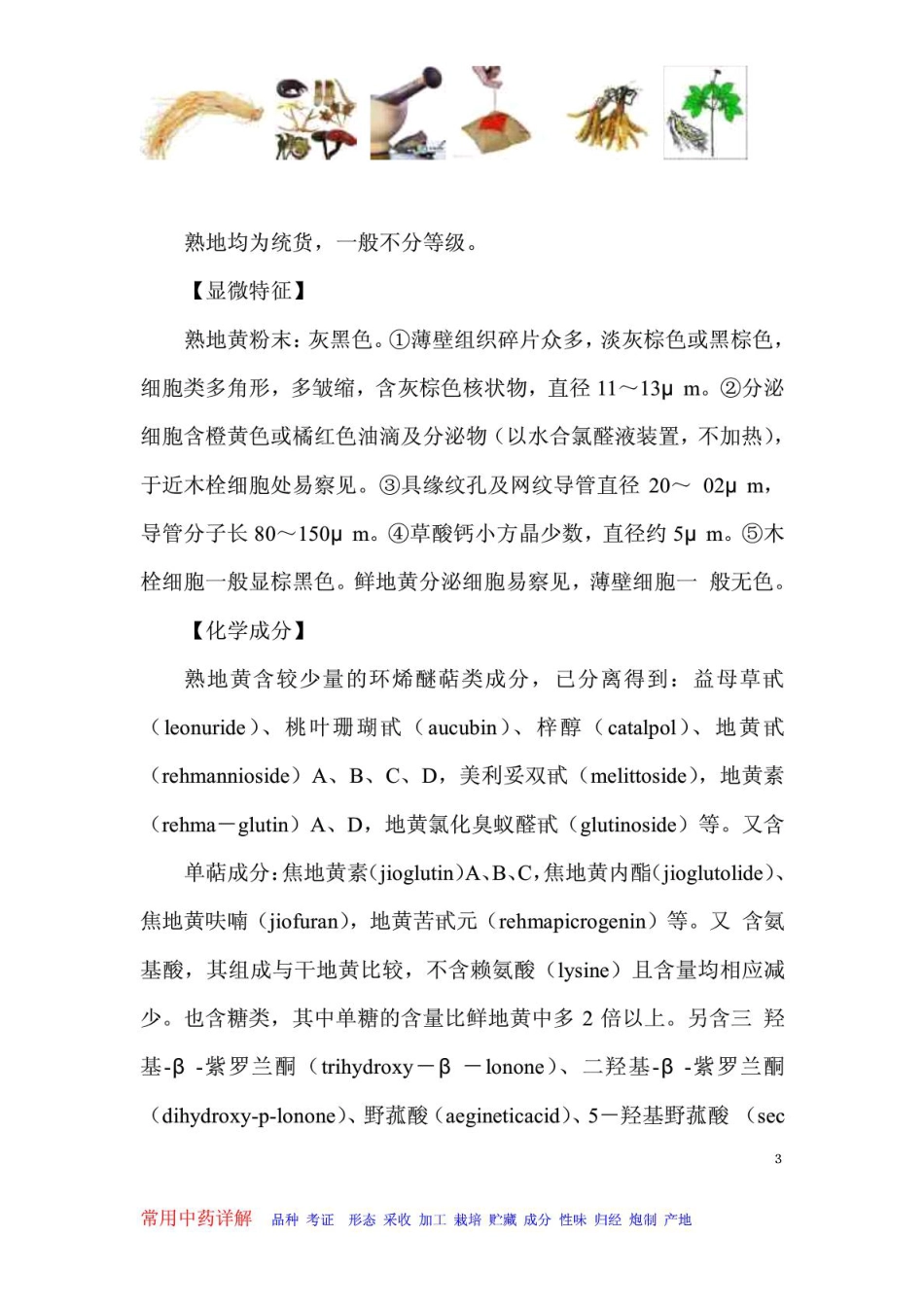 熟地黄常见中草药详述_第3页