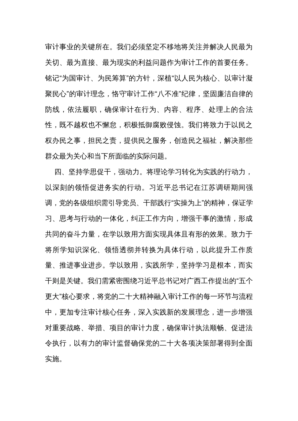 在理论中心组审计工作专题研讨会上的交流发言_第3页