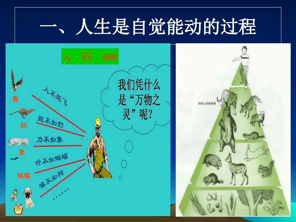 哲学与人生第三课自觉能动与自强不息[51页]_第2页