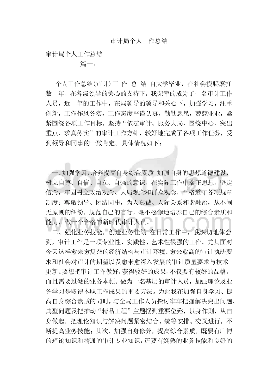审计局个人工作总结  _第1页