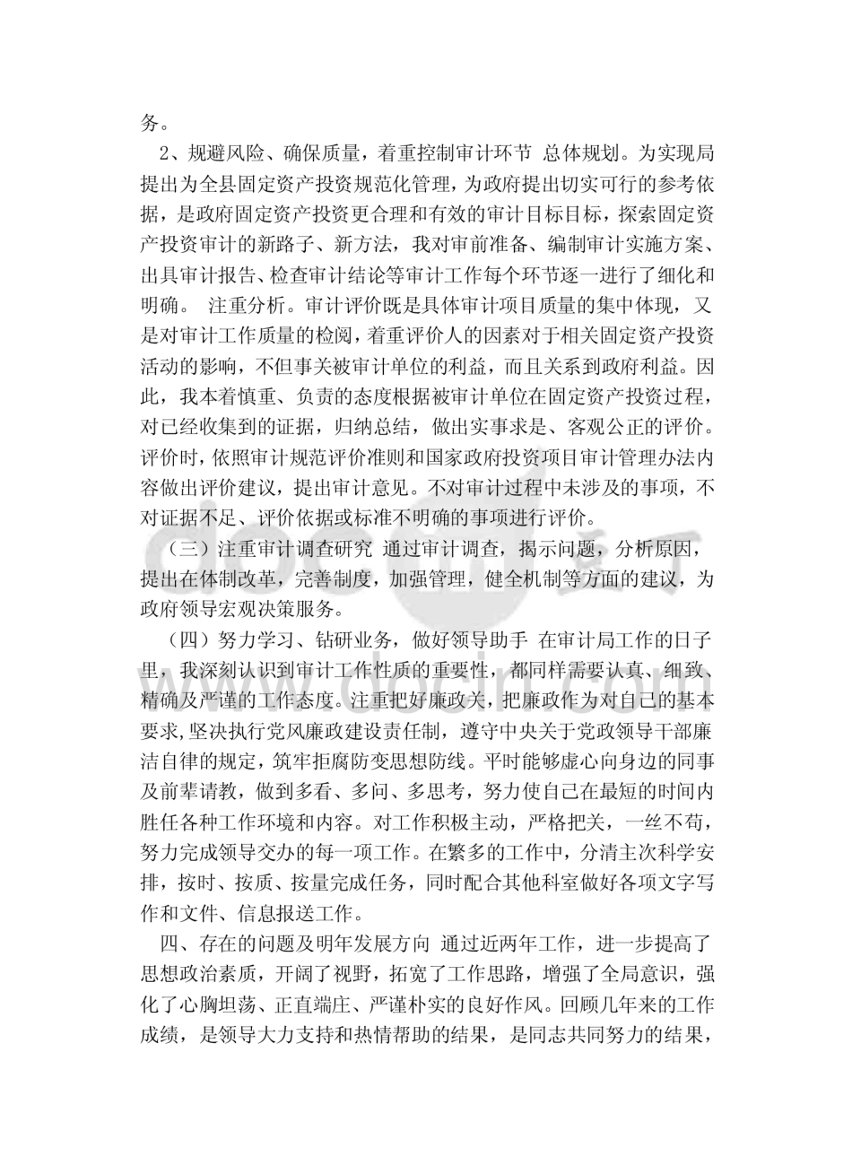 审计局个人工作总结  _第3页