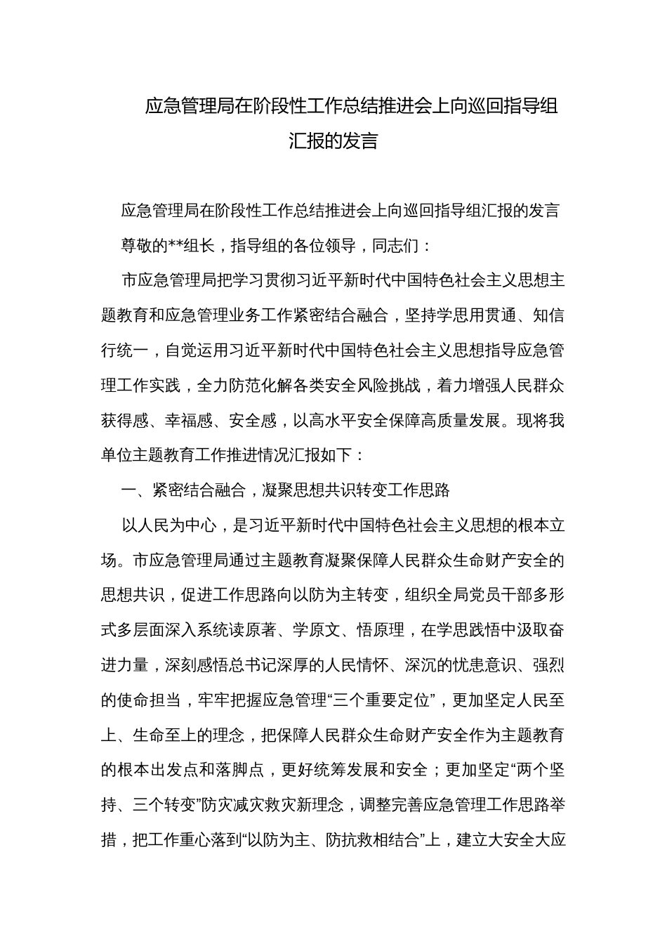 应急管理局在阶段性工作总结推进会上向巡回指导组汇报的发言_第1页