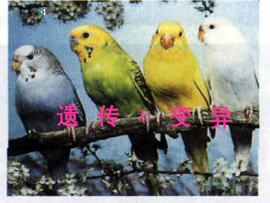 DNA是主要的遗传物质(优质课课件)_第1页