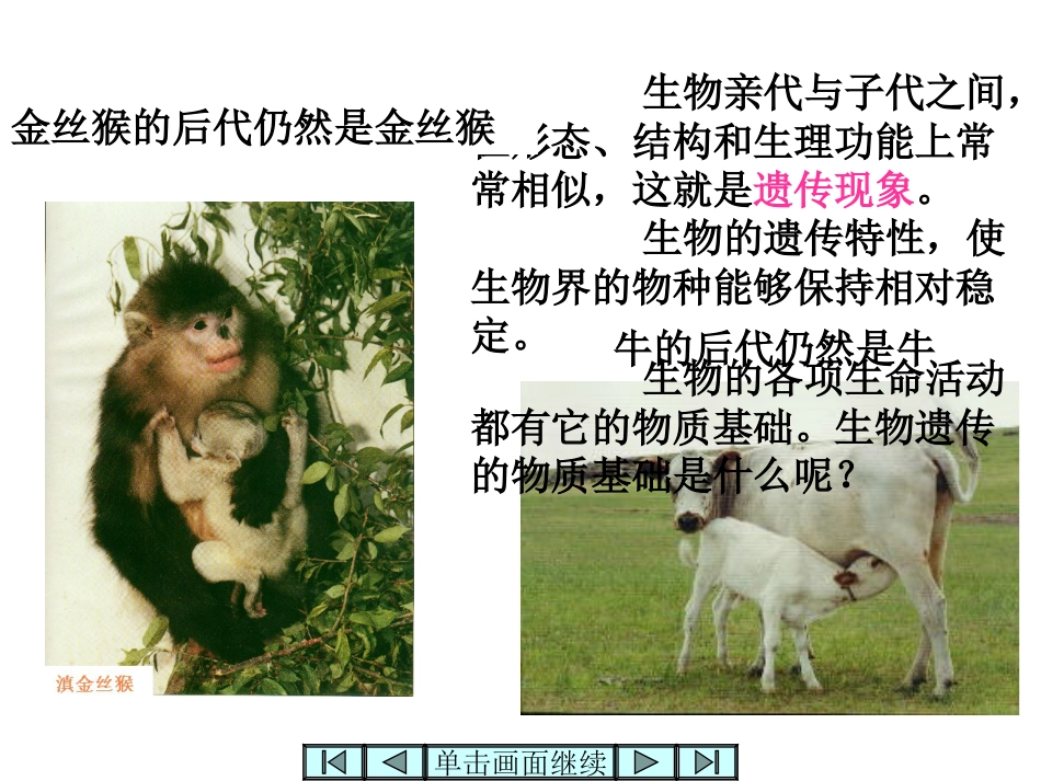 DNA是主要的遗传物质(优质课课件)_第3页