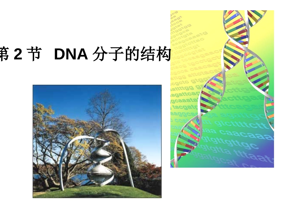 DNA分子的结构(公开课精品课件)_第1页