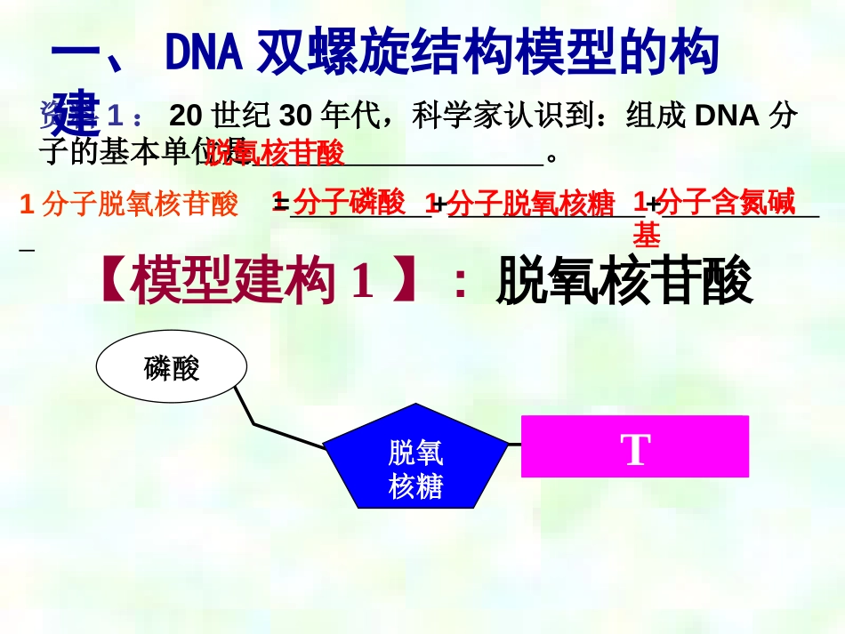 DNA分子的结构(公开课精品课件)_第2页