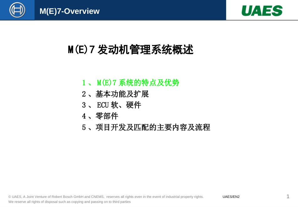 BOSCHEMS系统概述[25页]_第1页