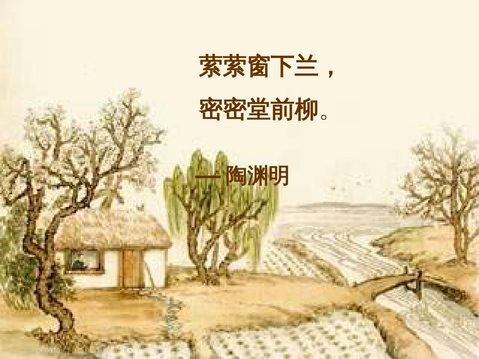 《种树郭橐驼传》经典课件[48页]_第3页