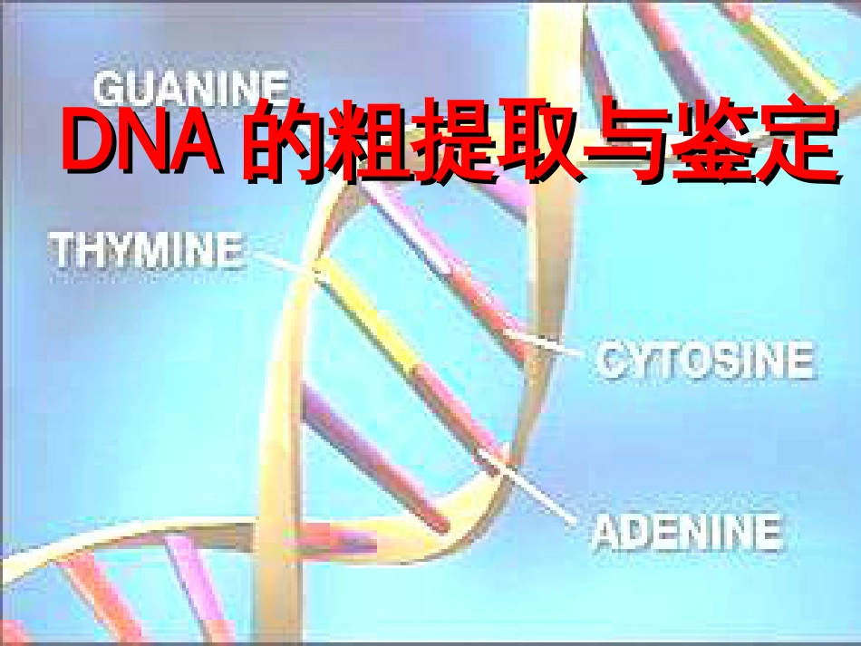 DNA的粗提取与鉴定[48页]_第2页