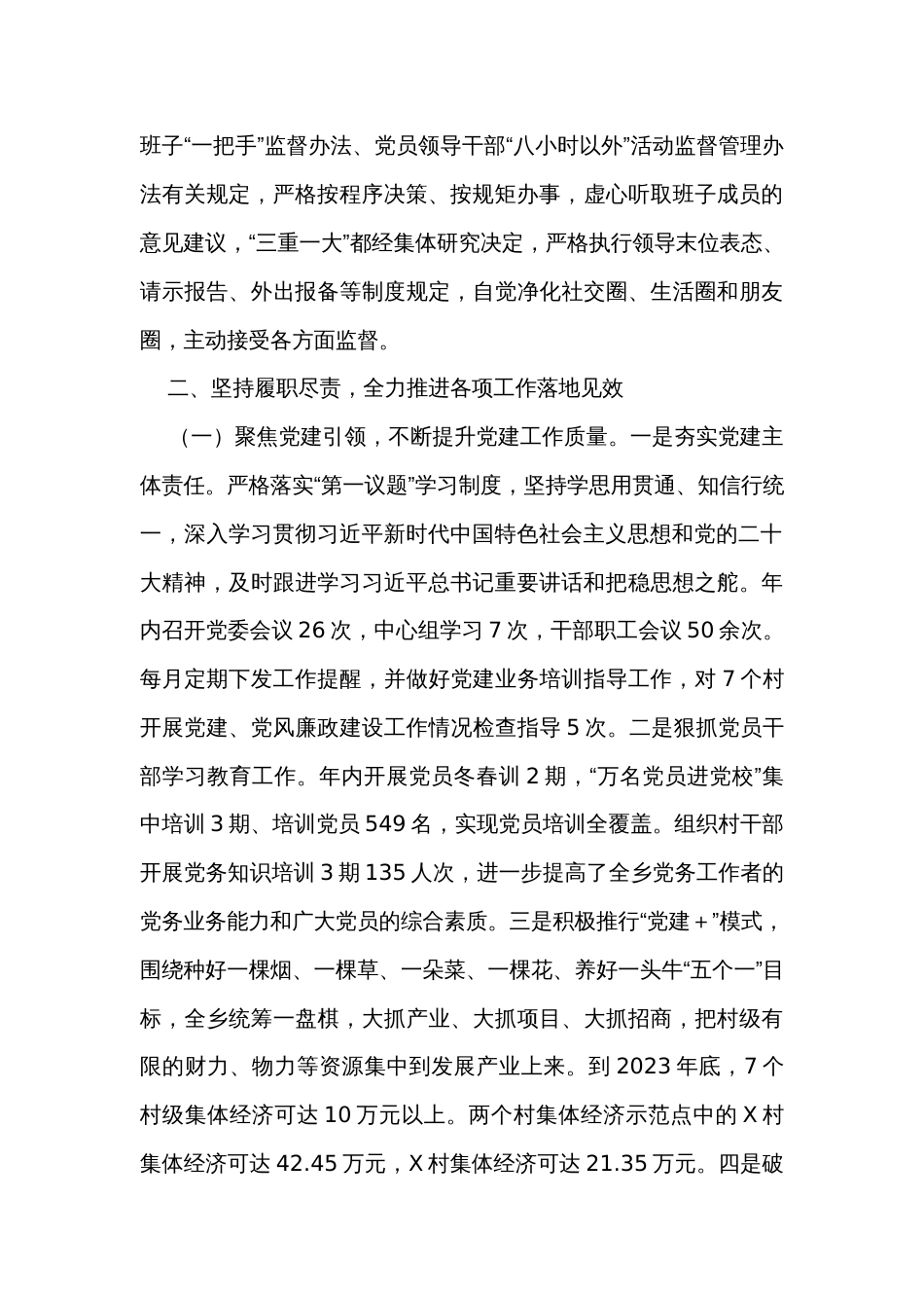 乡镇党委书记2023年个人述职报告_第2页