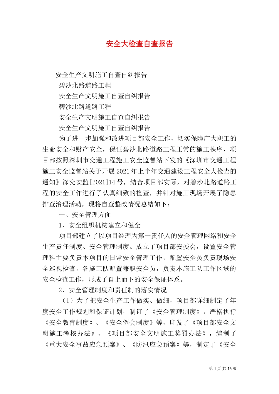 安全大检查自查报告（二）_第1页