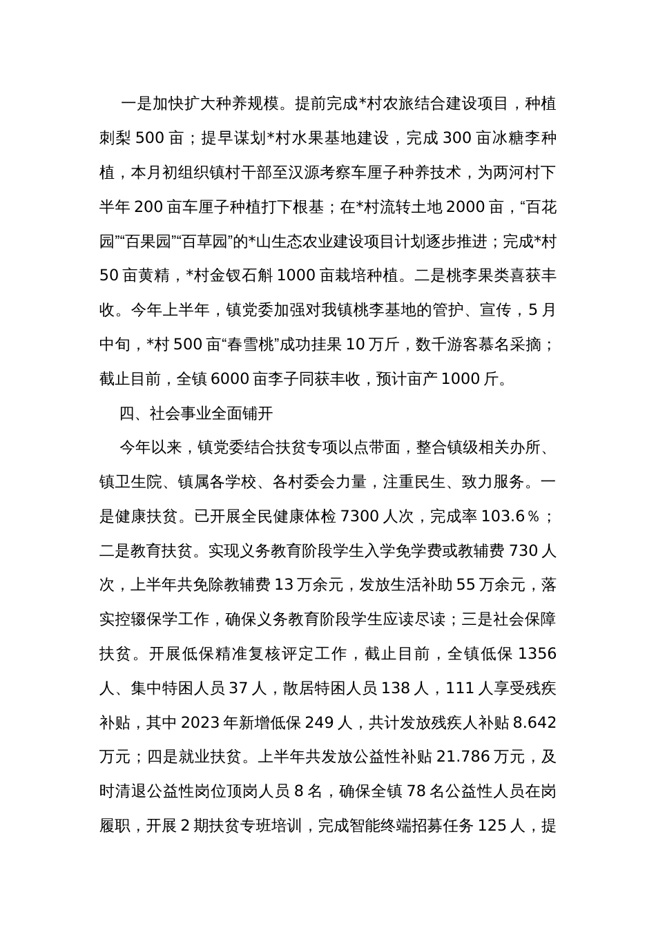 关于2023年上半年工作总结和下半年工作要点的报告_第3页