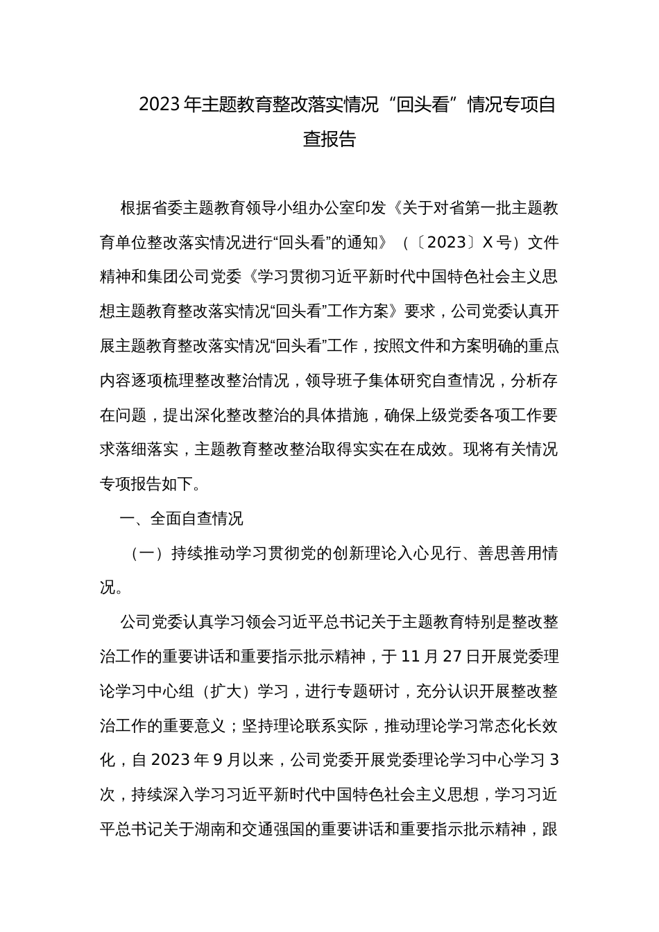 2023年主题教育整改落实情况“回头看”情况专项自查报告_第1页