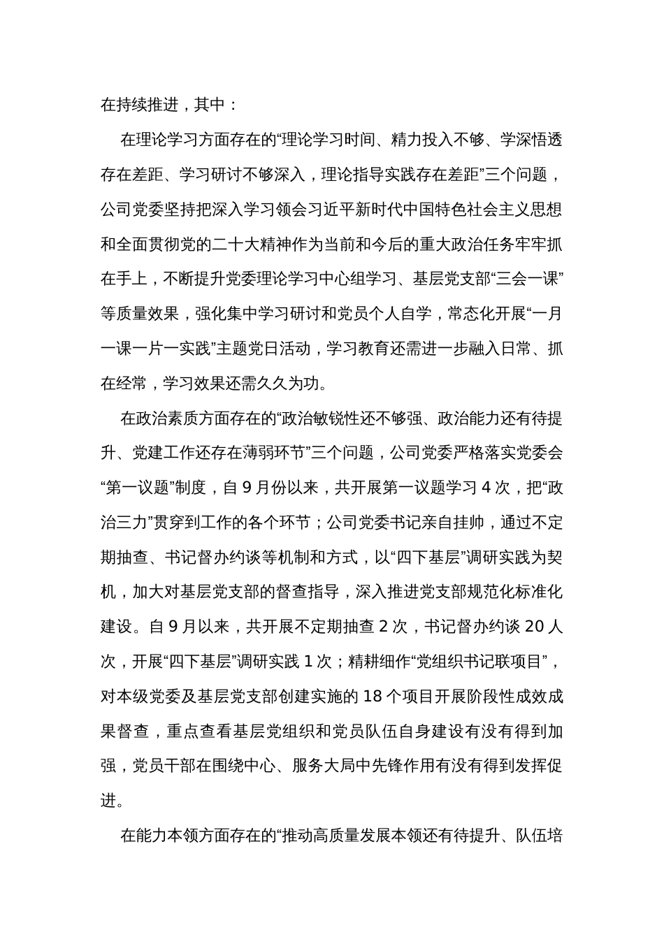 2023年主题教育整改落实情况“回头看”情况专项自查报告_第3页