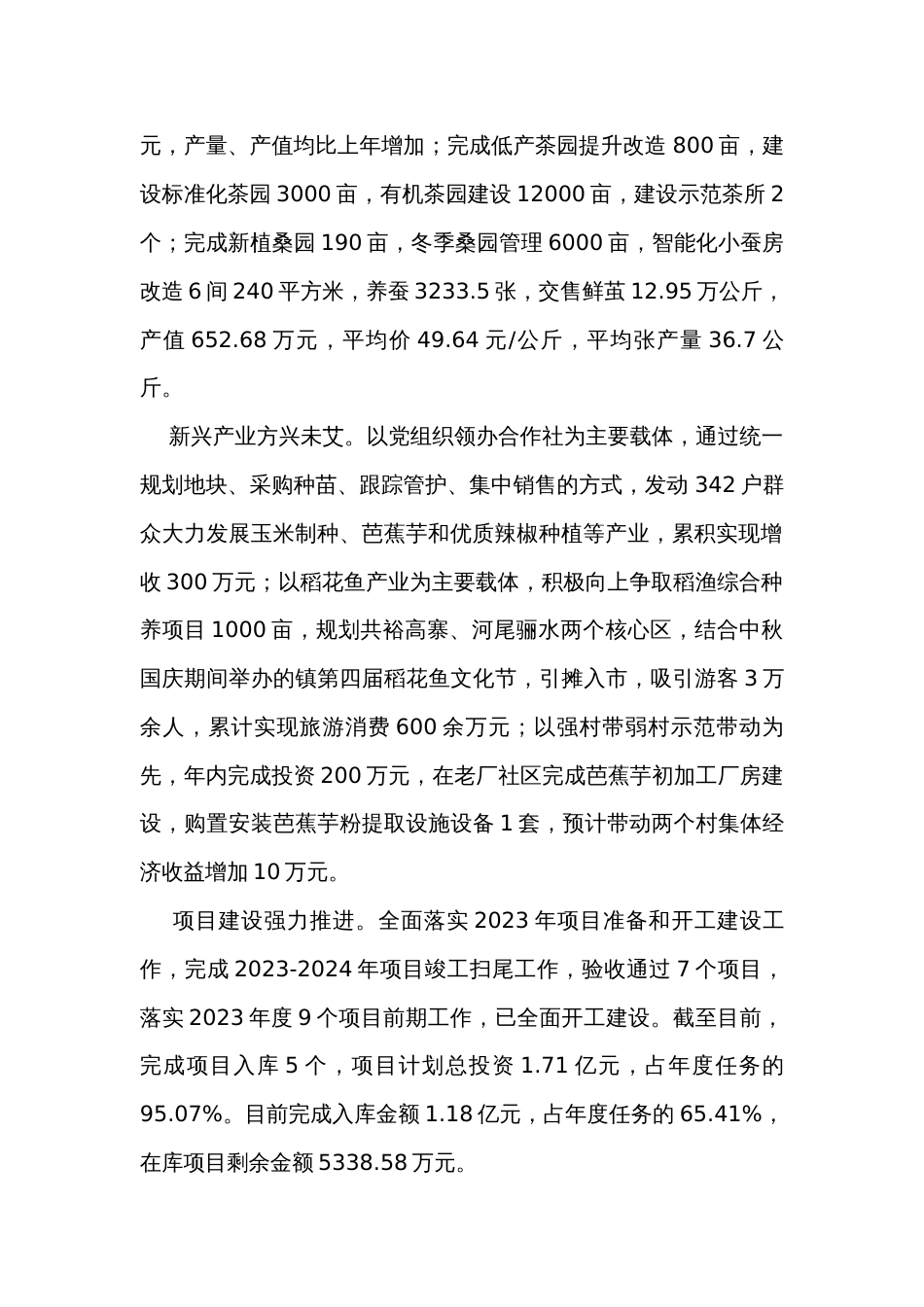 镇2023年度工作总结和2024年重点工作任务_第2页