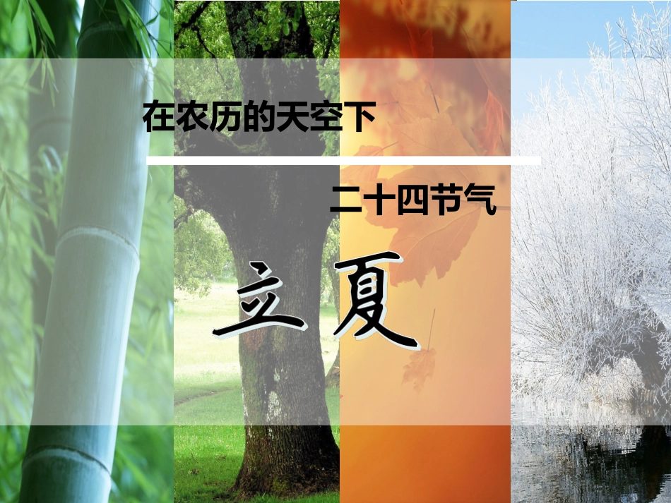 二十四节气—立夏(共18页)_第1页