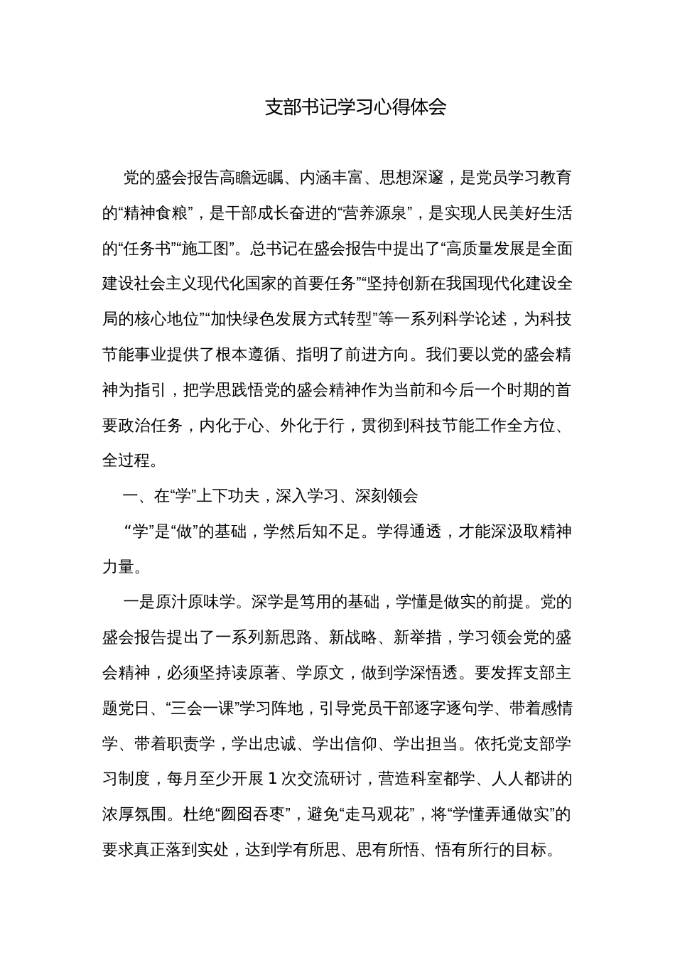 支部书记学习心得体会_第1页