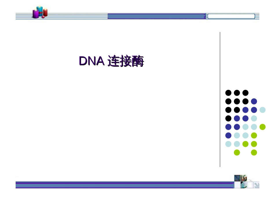 DNA连接酶[11页]_第1页