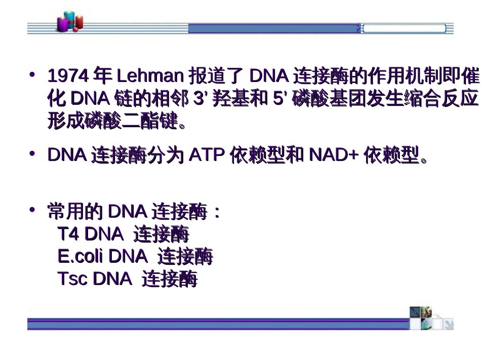 DNA连接酶[11页]_第2页