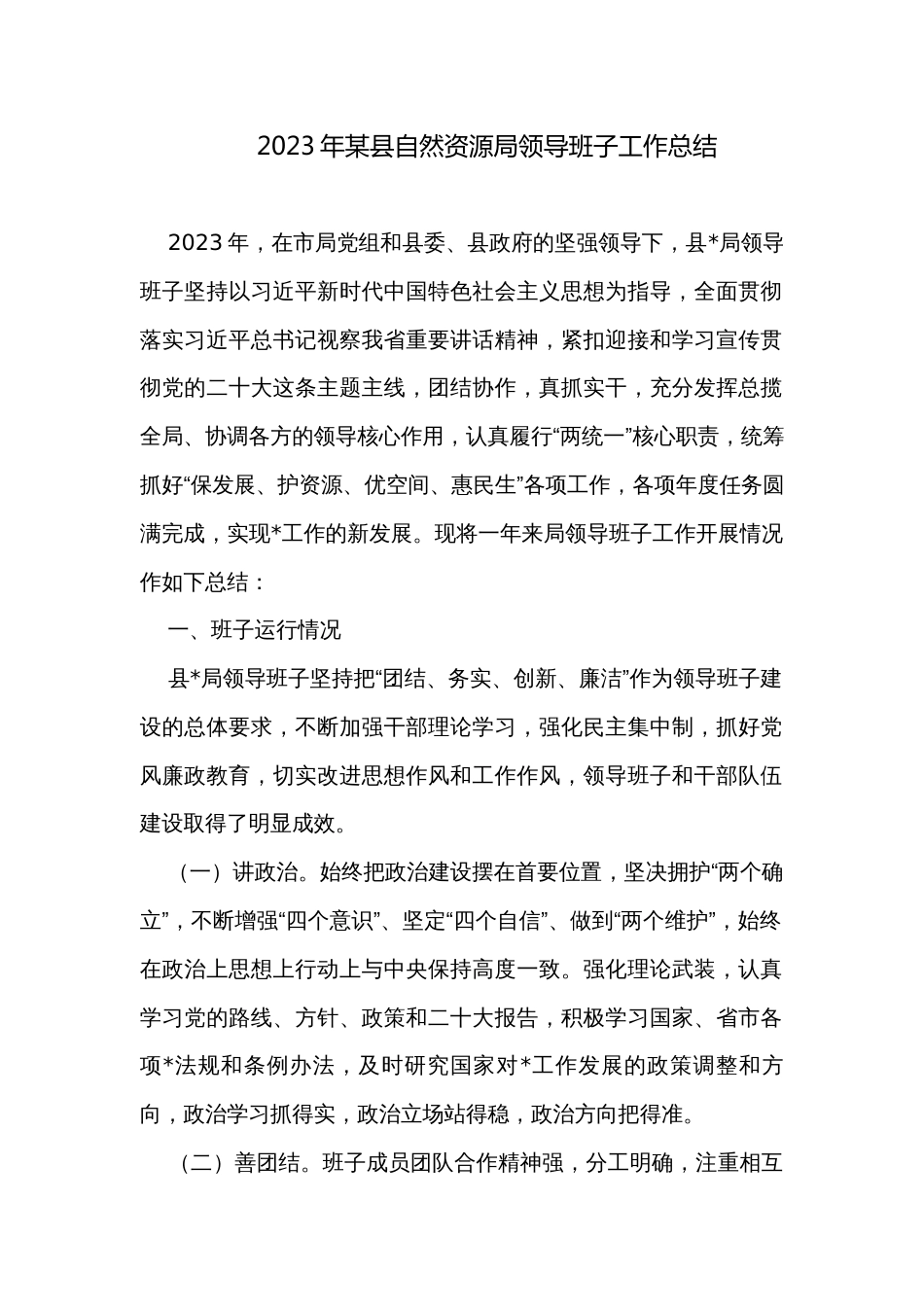 2023年某县自然资源局领导班子工作总结 _第1页
