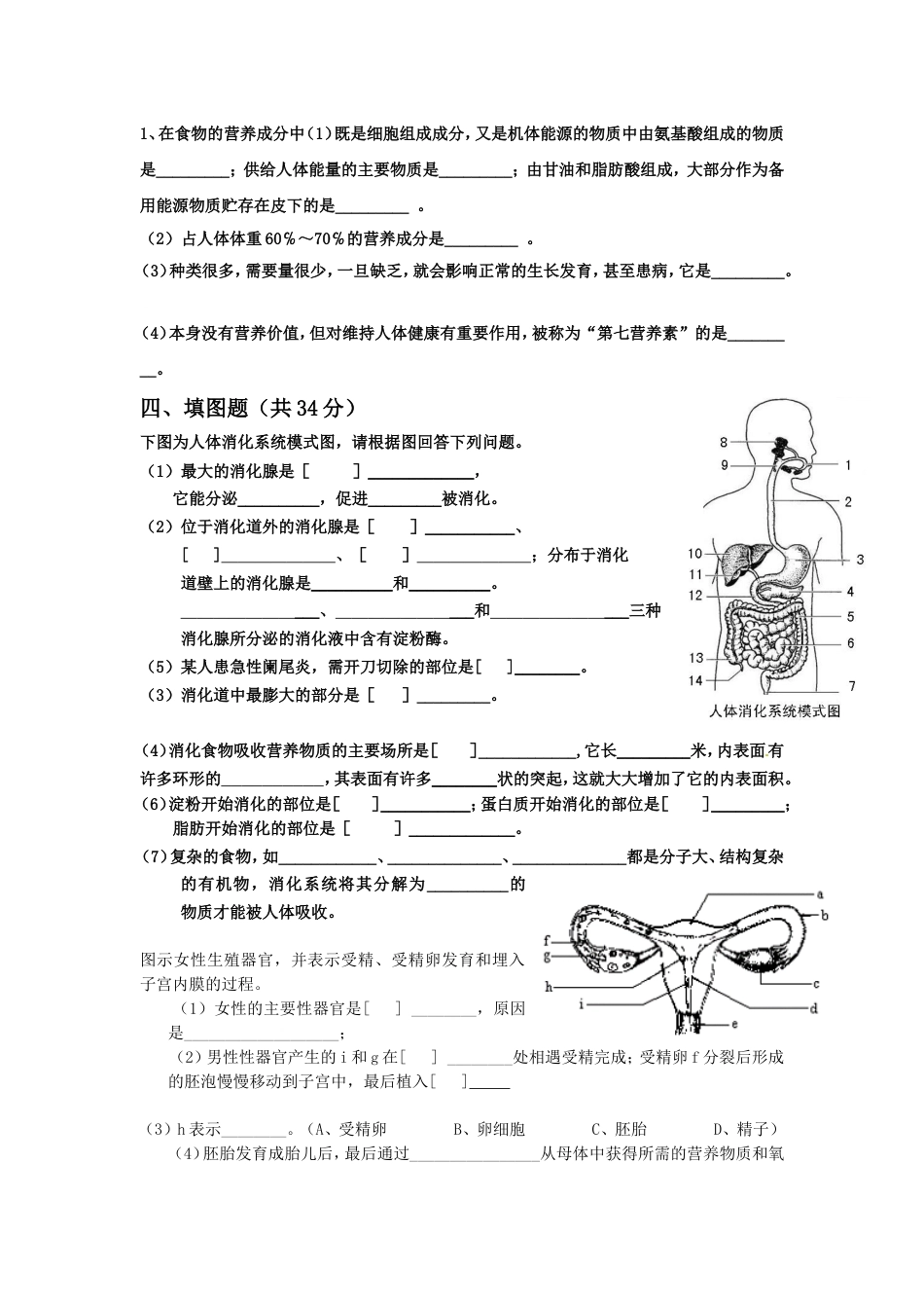 人体的营养测试题[5页]_第3页