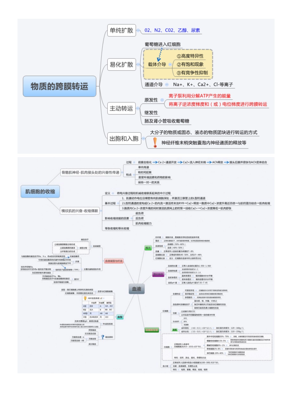 生理学思维导图 _第1页