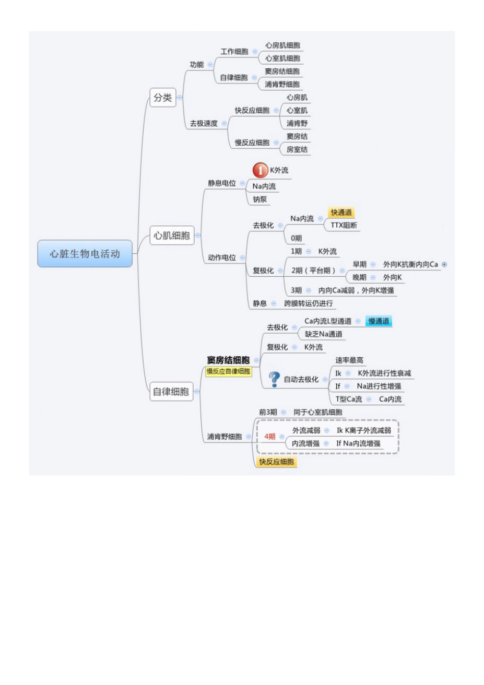 生理学思维导图 _第2页