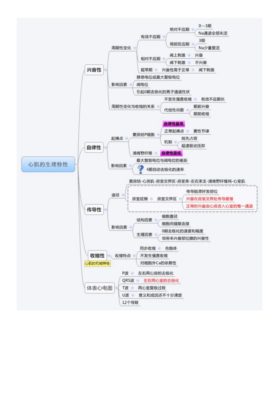 生理学思维导图 _第3页