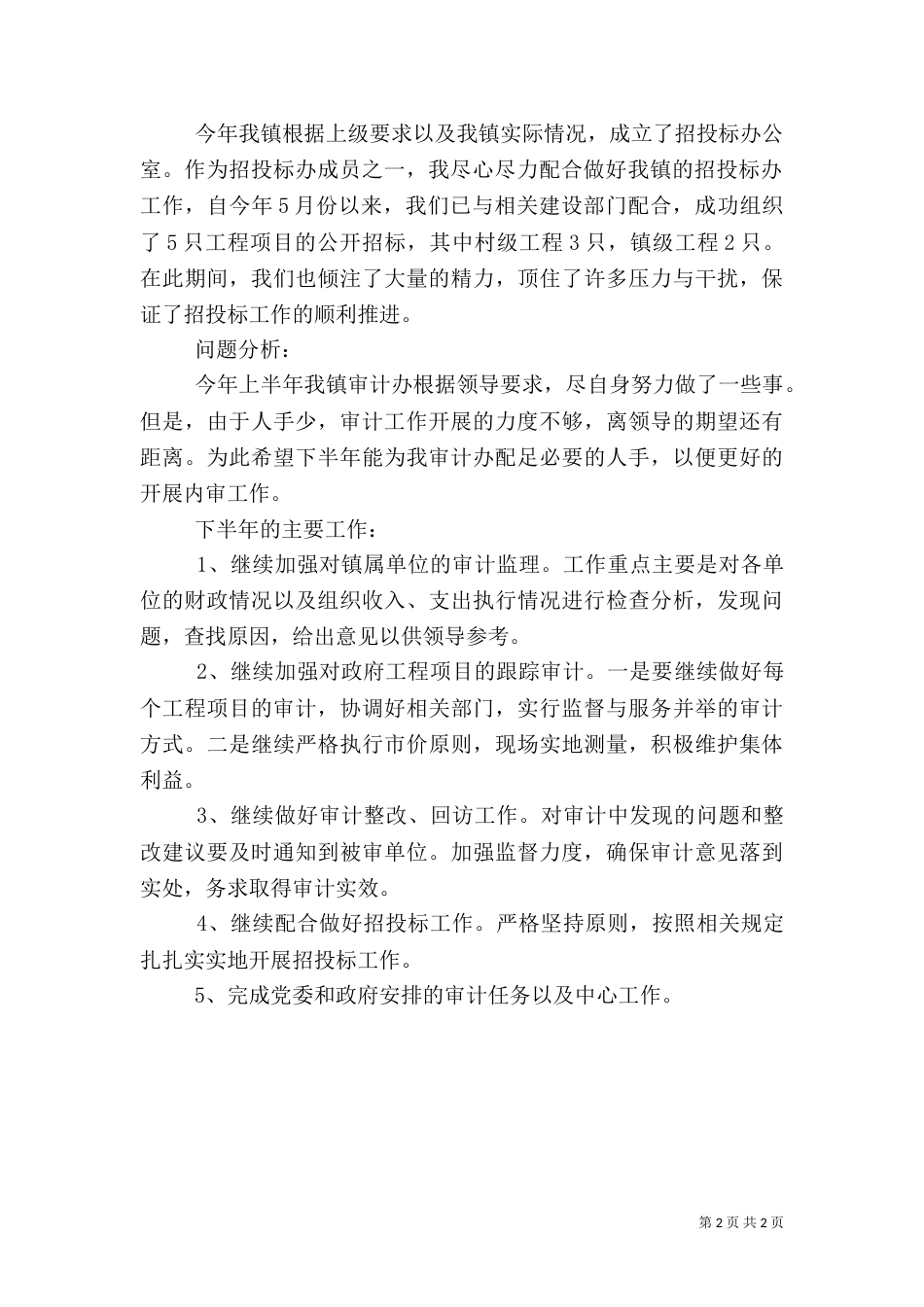 审计办2021年上半年工作总结_第2页