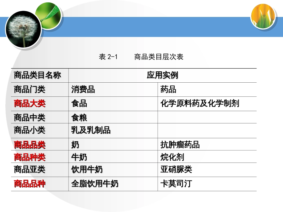 医药商品分类与编码[67页]_第3页