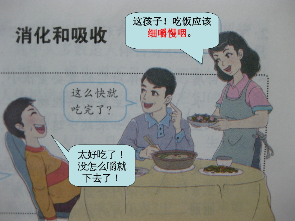 消化和吸收课件[38页]_第3页