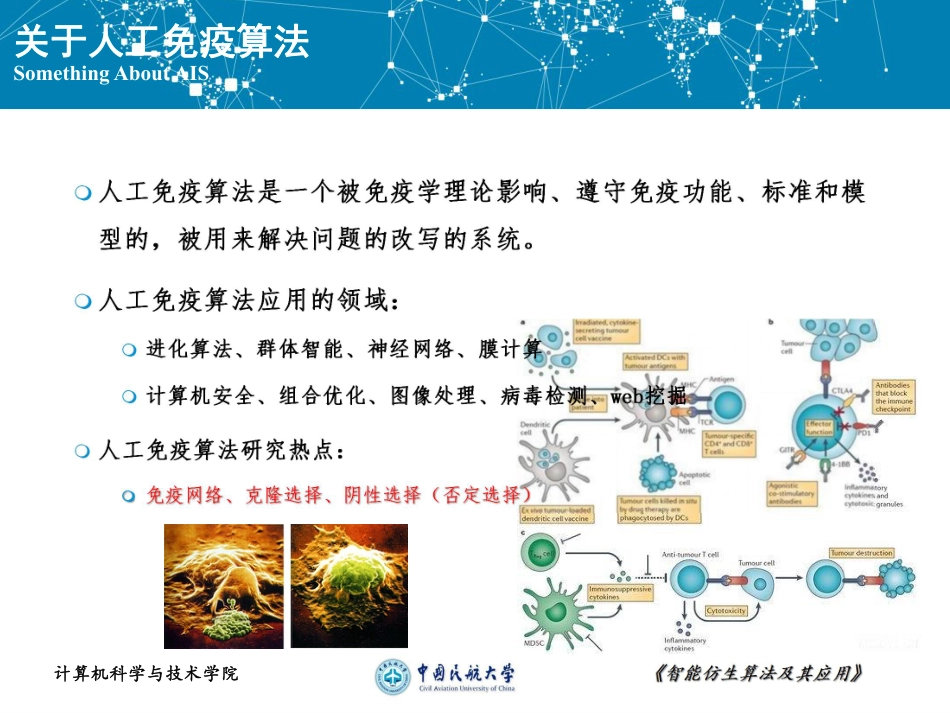 三种人工免疫算法综述[28页]_第2页