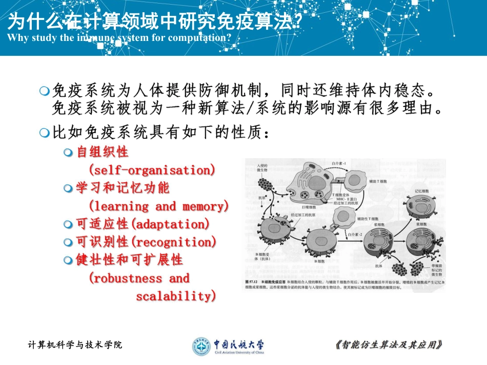 三种人工免疫算法综述[28页]_第3页