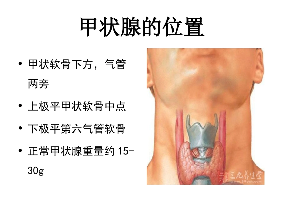 甲状腺解剖[19页]_第2页