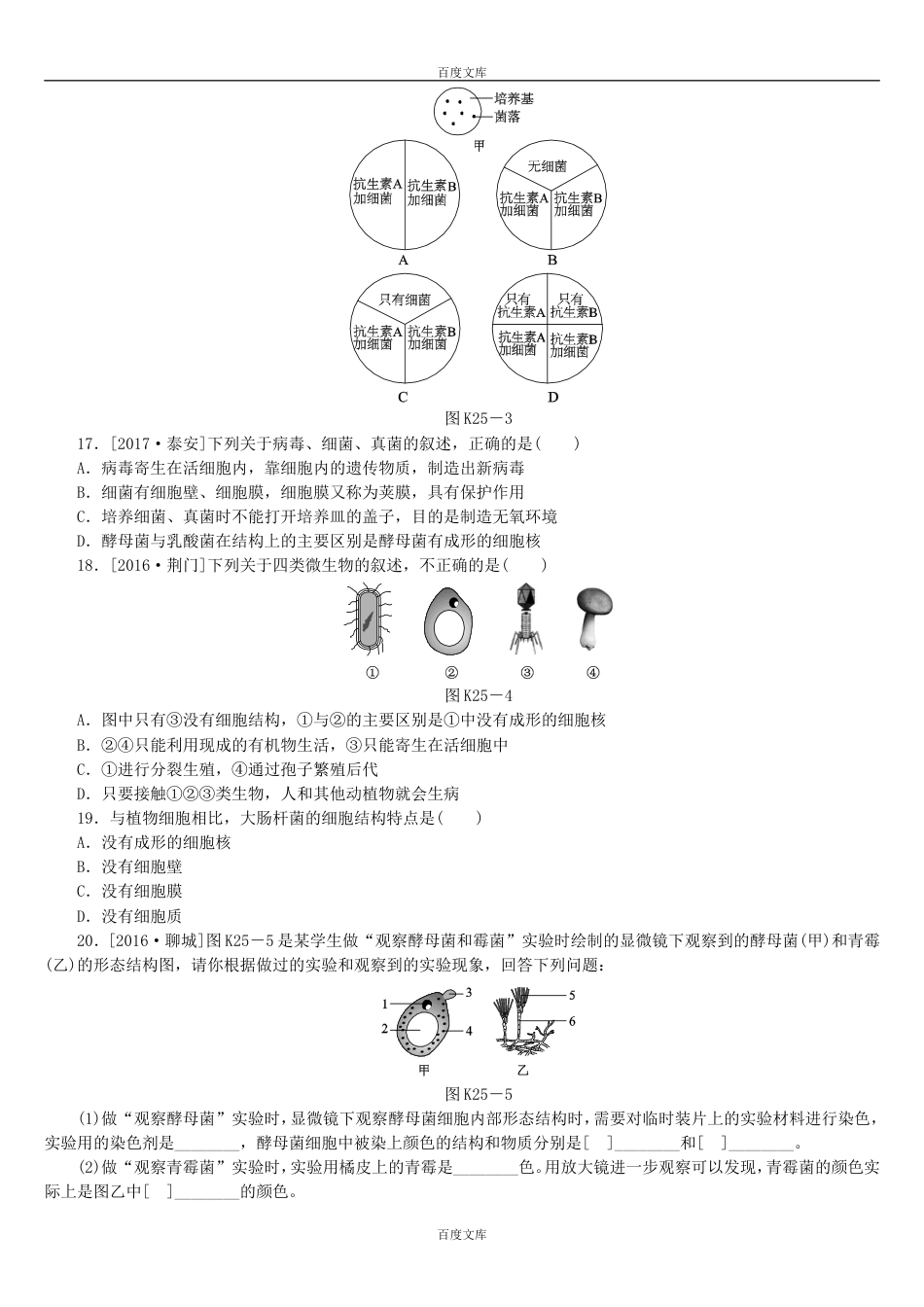 中考生物复习25细菌、真菌和病毒作业手册含答案_第3页