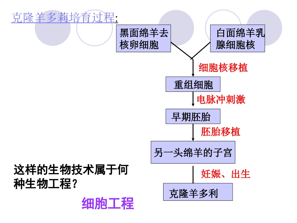 《植物细胞工程的基本技术》课件共27页文档_第3页