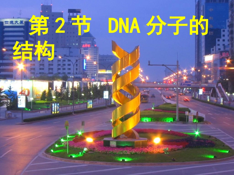 DNA分子的结构计算全部[35页]_第1页