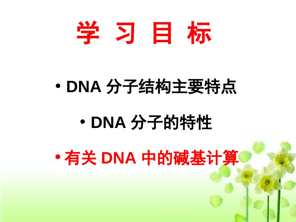 DNA分子的结构计算全部[35页]_第2页