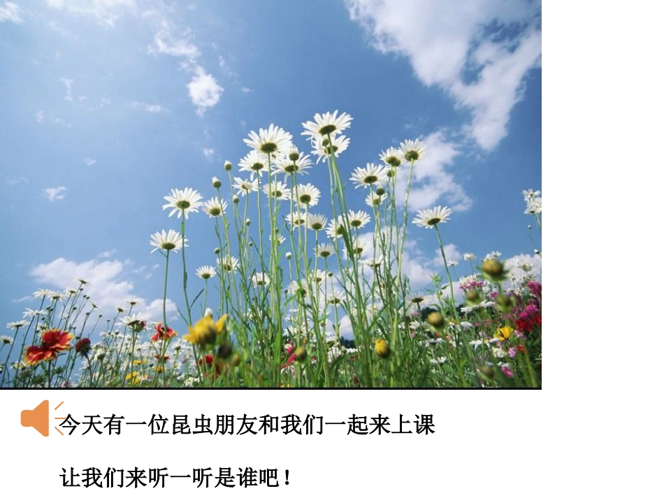人教一年级小蜜蜂._第1页