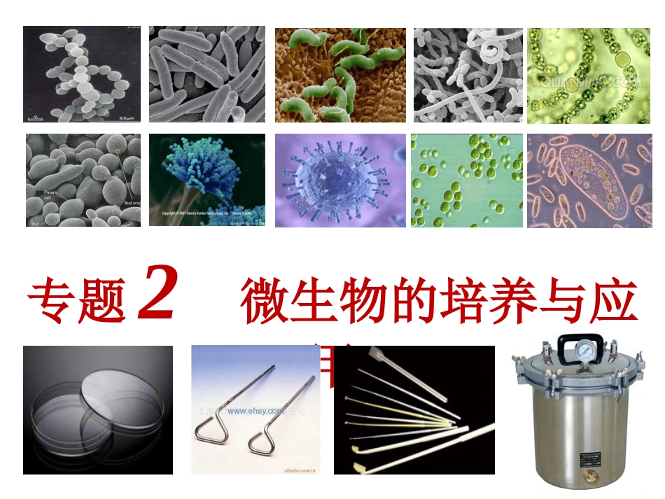 微生物的实验室培养公开课ppt课件[39页]_第1页