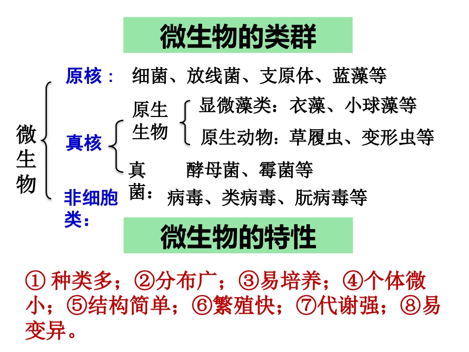 微生物的实验室培养公开课ppt课件[39页]_第2页