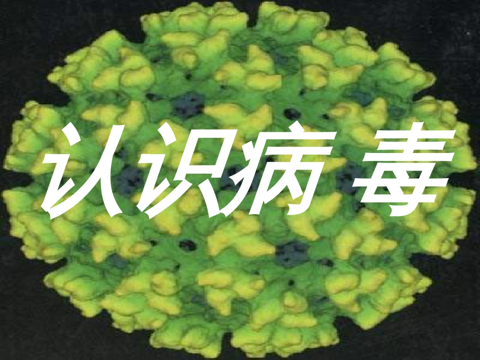 认识病毒[22页]_第1页