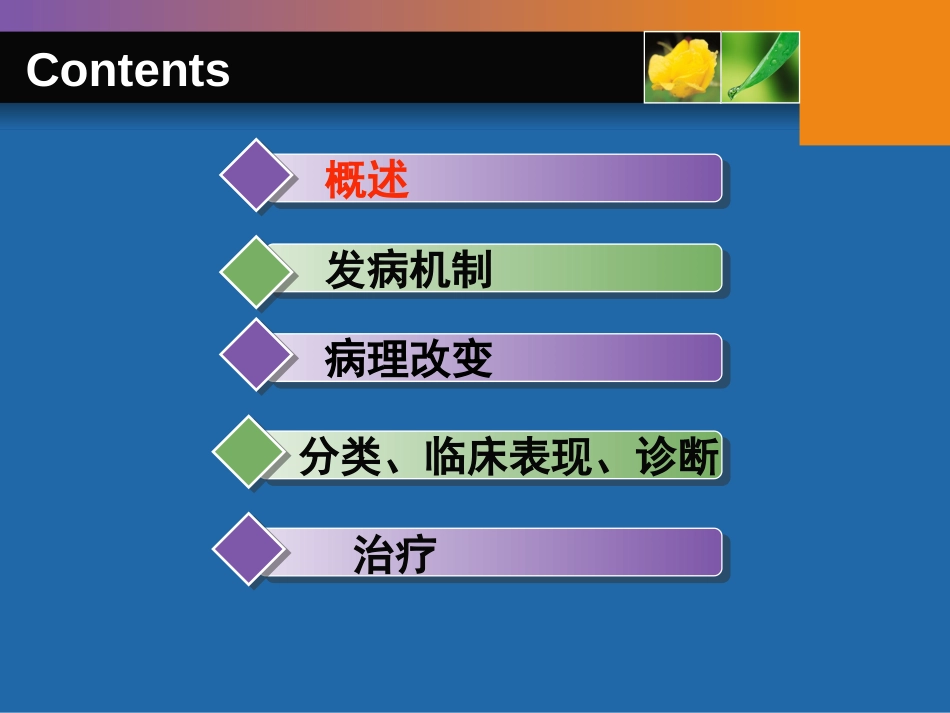 糖尿病神经病变[71页]_第2页