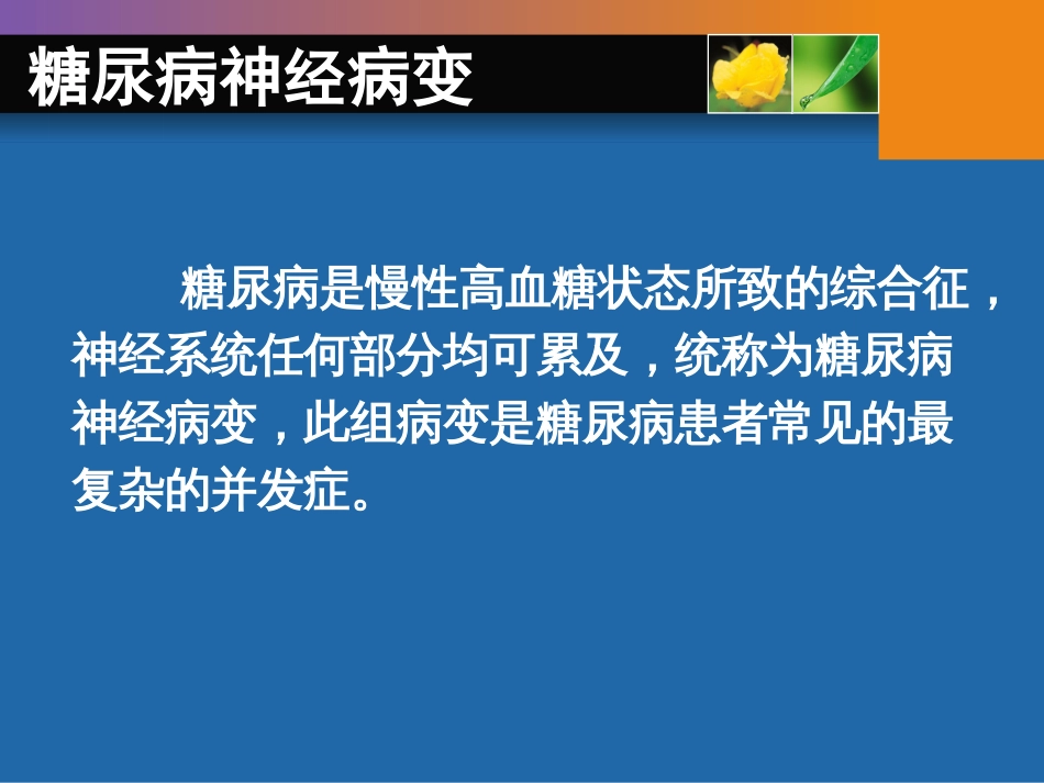 糖尿病神经病变[71页]_第3页