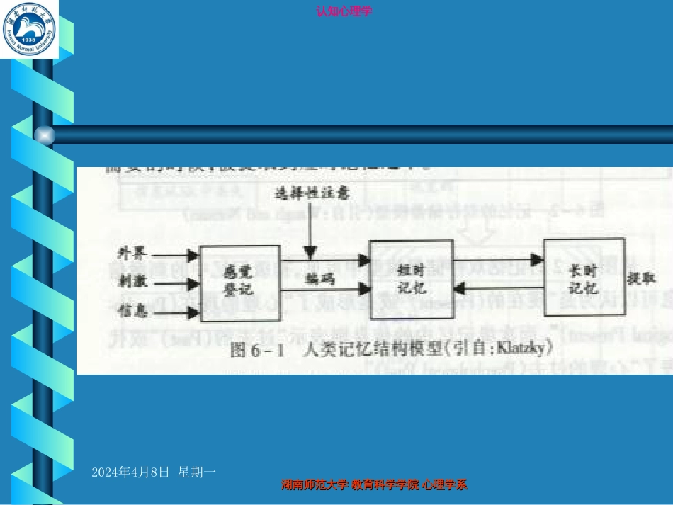 认知心理学课件第六章上短时记忆文档资料_第3页