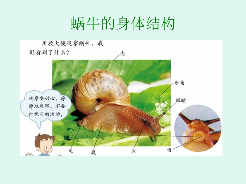 《身体的结构》PPT课件[25页]_第2页